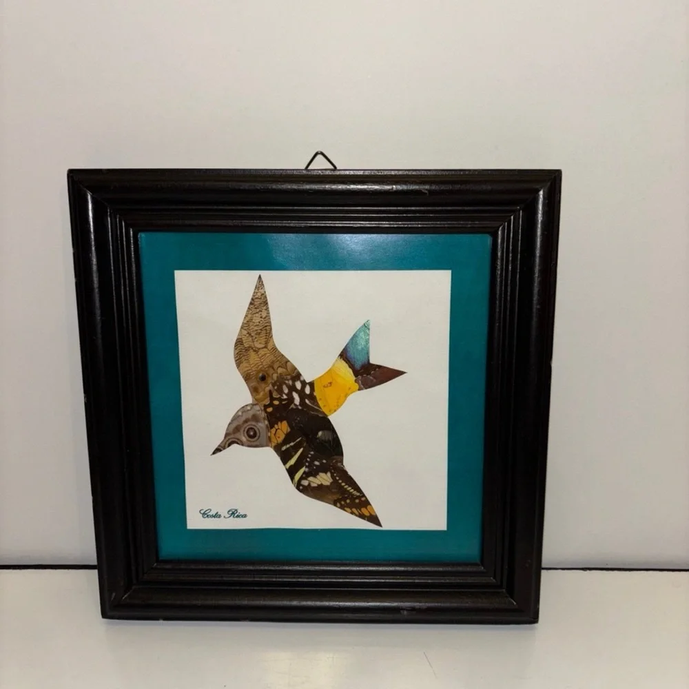 Framed Bird Art with Black Frame